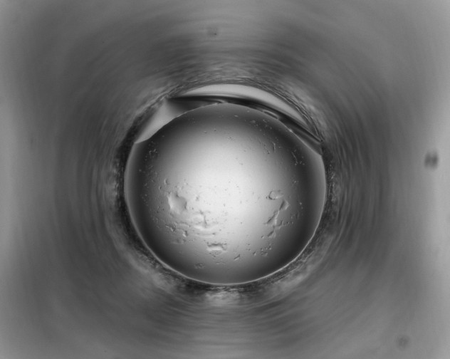 X0000099450362200805091510