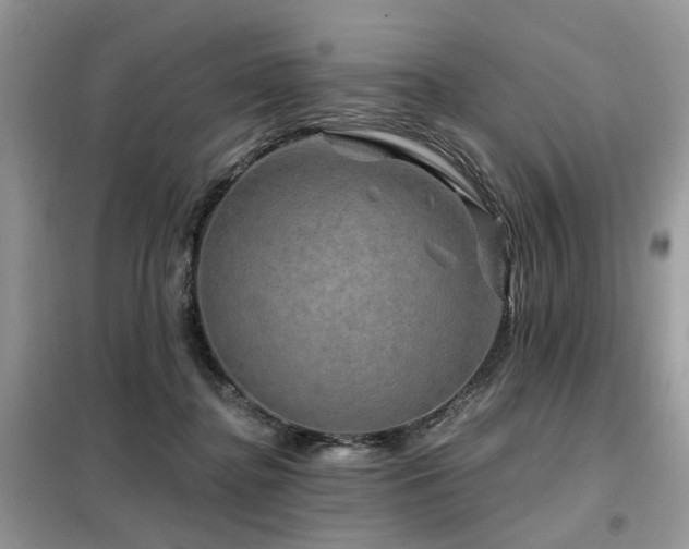 X0000099450364200805091510