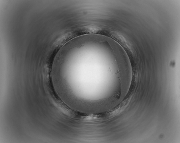 X0000099450366200805091511