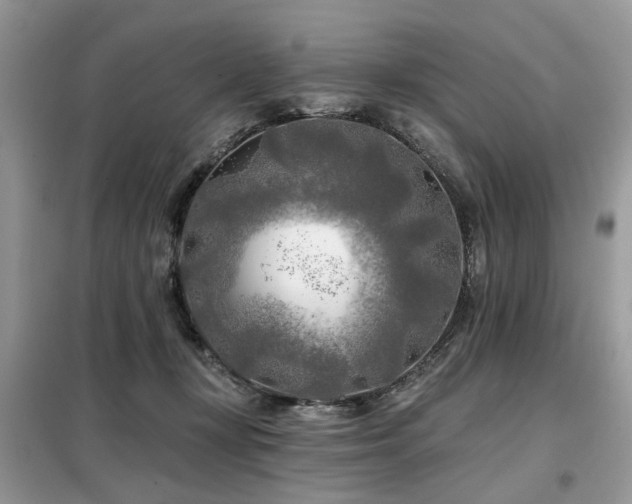 X0000099450367200805091511