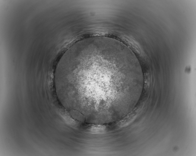X0000099450369200805091511