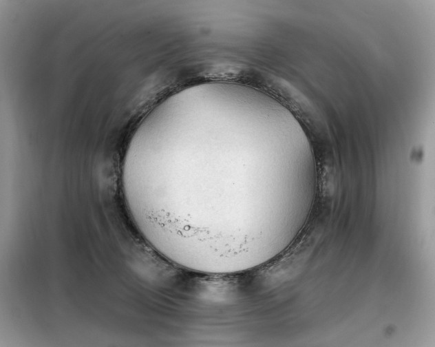 X0000099450370200805091511