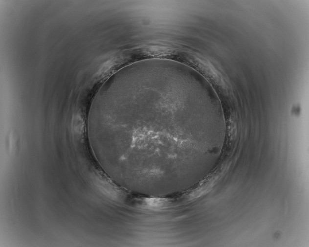 X0000099450371200805091511