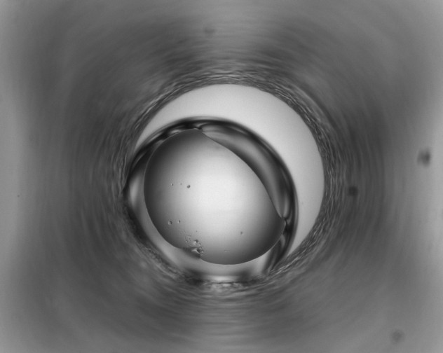 X0000099450372200805091511