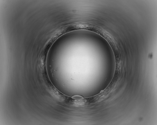 X0000099450373200805091511