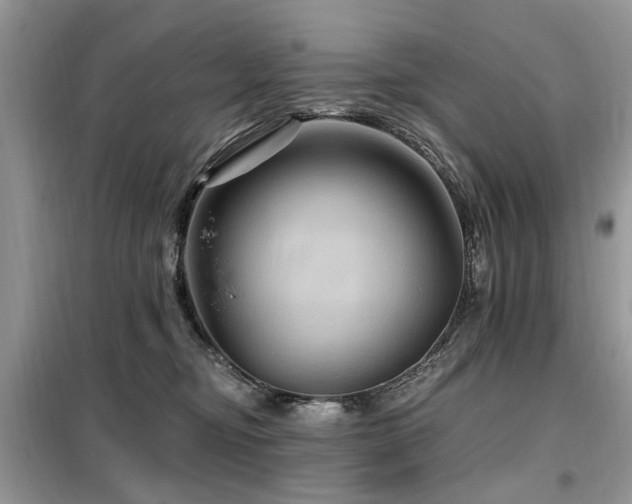 X0000099450374200805091511