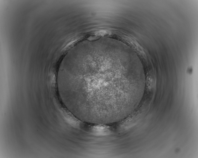 X0000099450375200805091511