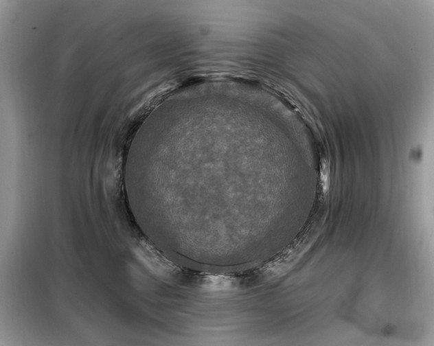X0000099450376200805091511