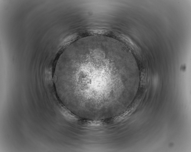 X0000099450377200805091511