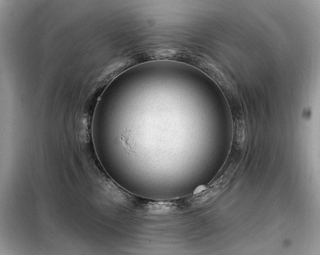 X0000099450378200805091511