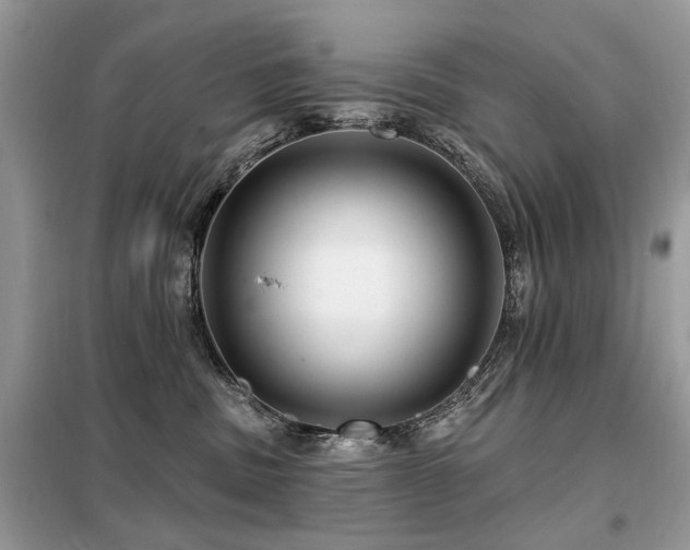 X0000099450379200805091511
