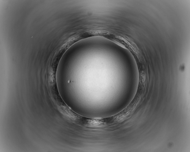 X0000099450380200805091511