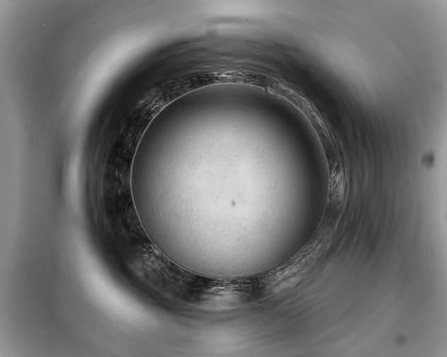 X0000099450381200805091511