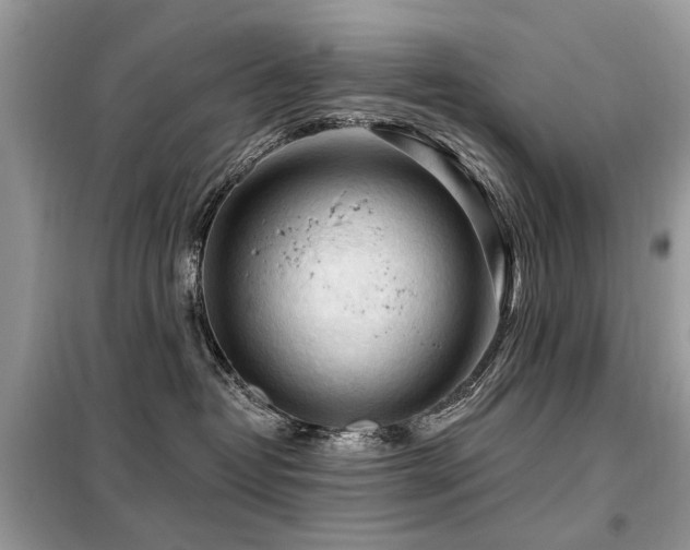 X0000099450382200805091511