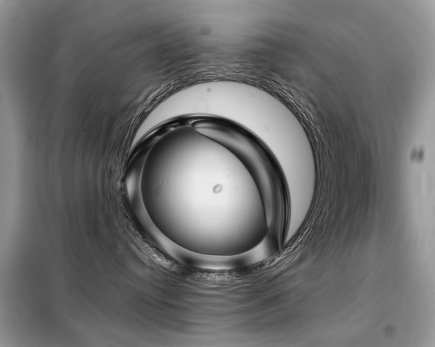 X0000099450384200805091511