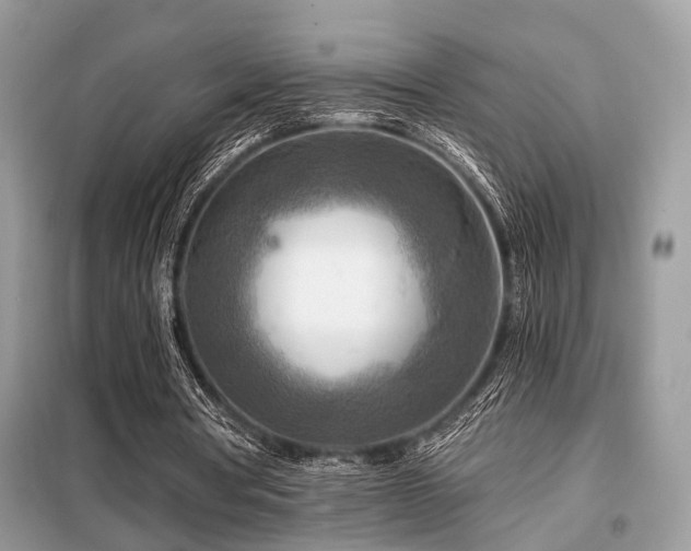 X0000099450386200805091510