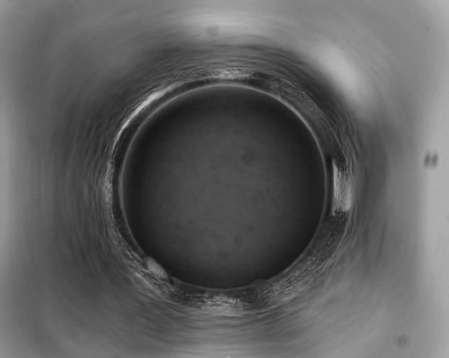 X0000099450387200805091510