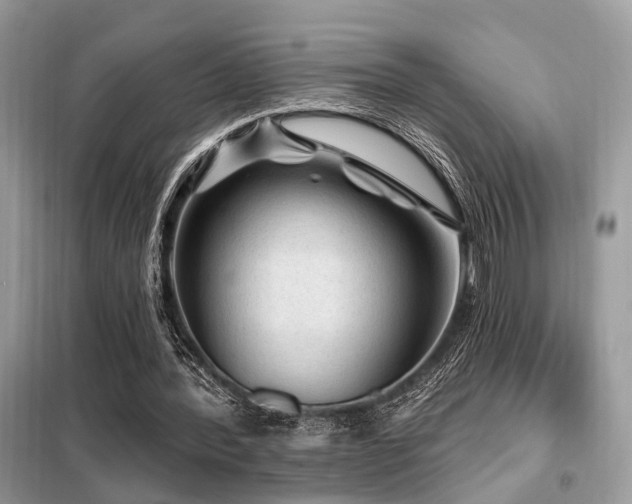 X0000099450388200805091510