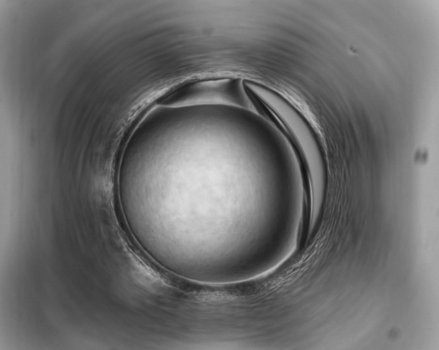 X0000099450389200805091510