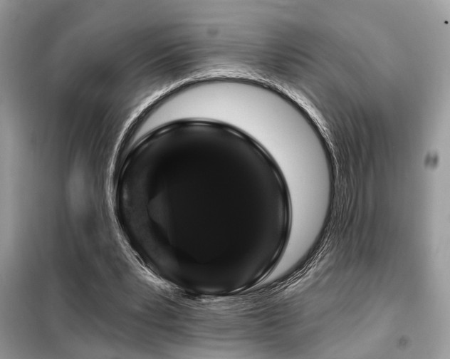 X0000099450391200805091510