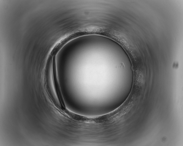 X0000099450392200805091510