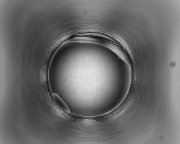X0000099450393200805091510