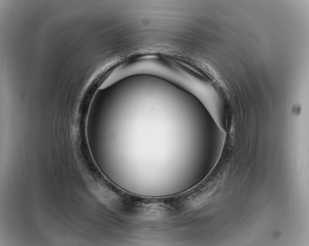 X0000099450396200805091510