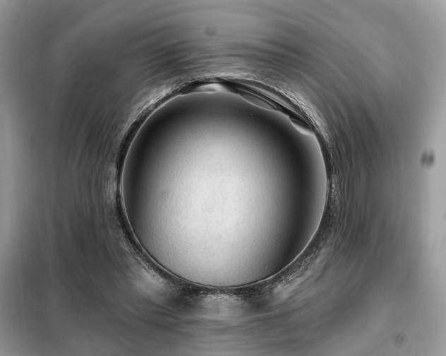 X0000099450397200805091510