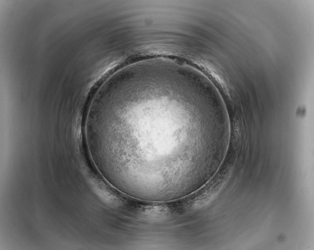 X0000099450398200805091510