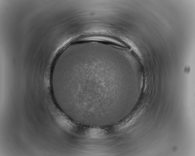 X0000099450399200805091510