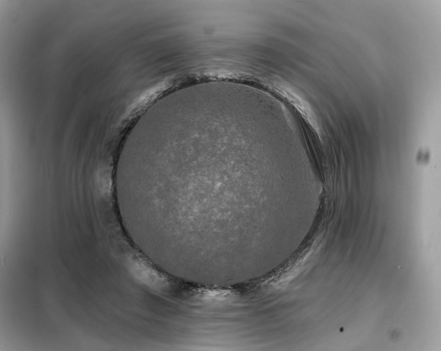 X0000099450401200805091510