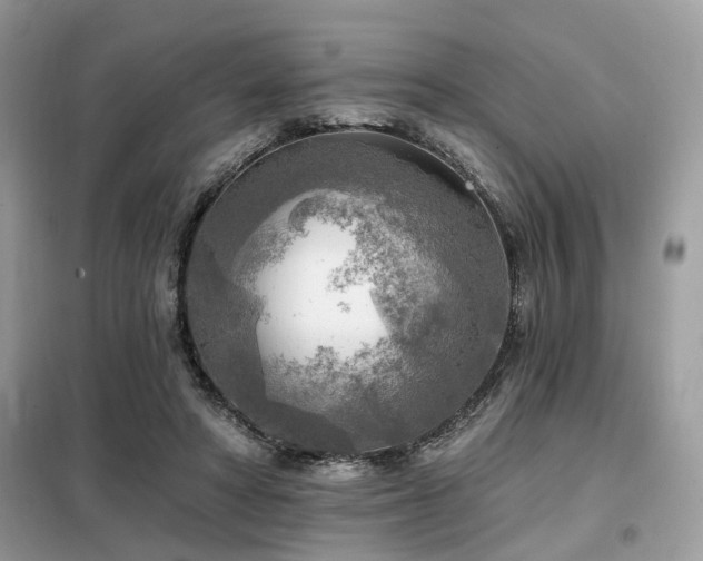 X0000099450402200805091510