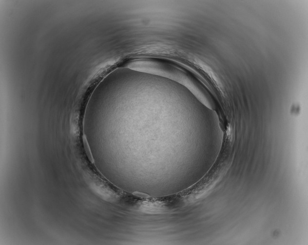 X0000099450403200805091510
