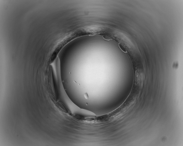 X0000099450404200805091510
