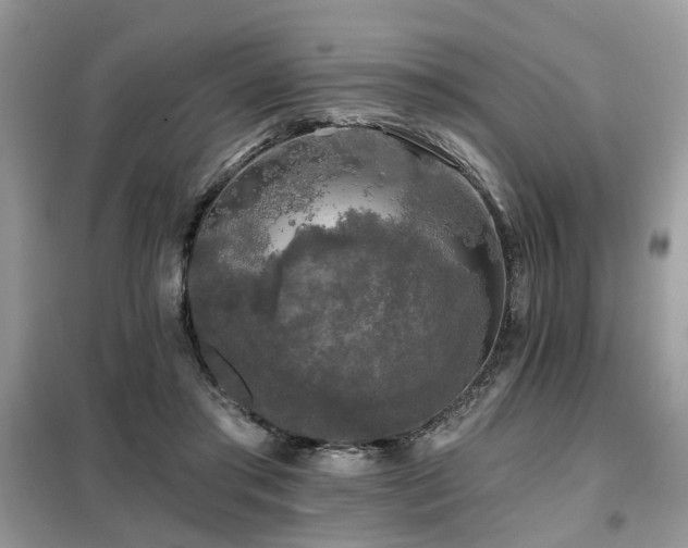X0000099450405200805091510
