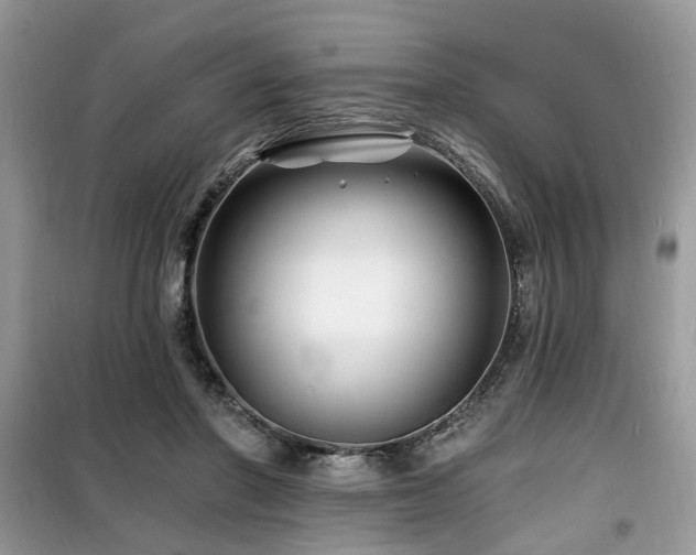 X0000099450406200805091510