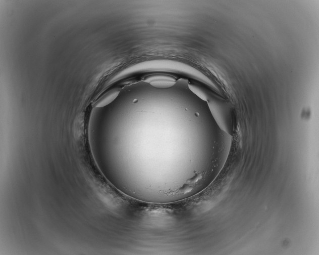 X0000099450407200805091510