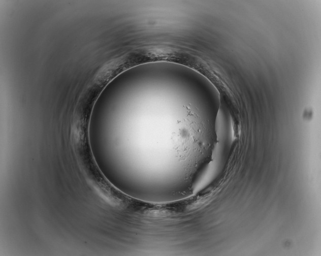 X0000099450408200805091510