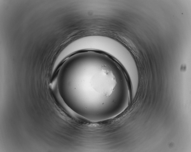 X0000099450409200805091510