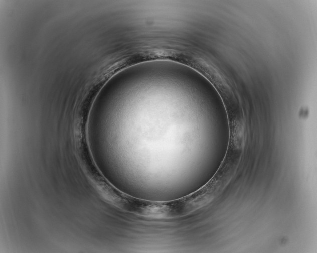 X0000099450410200805091510