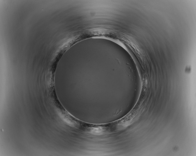 X0000099450411200805091510