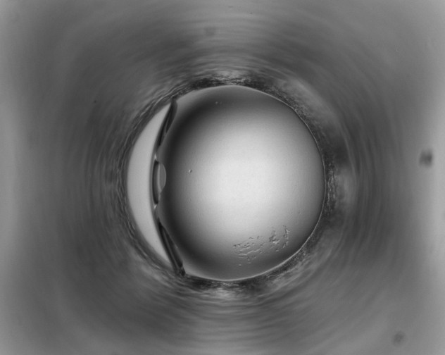 X0000099450412200805091510
