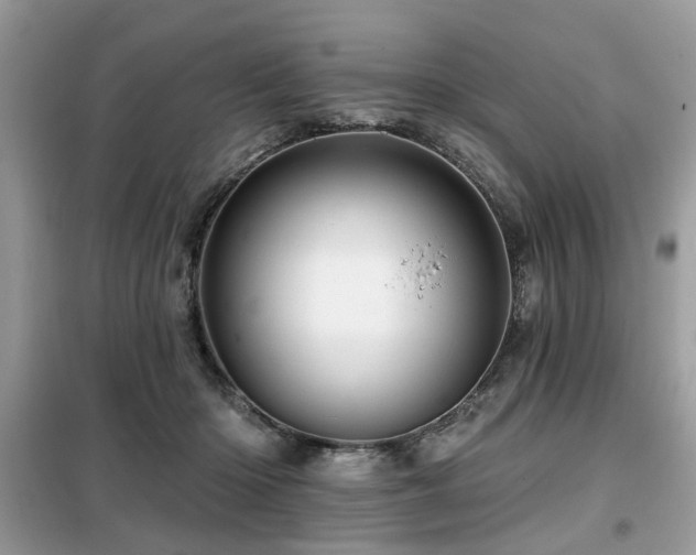 X0000099450414200805091510