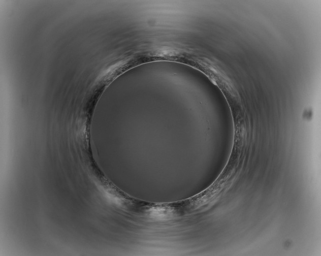 X0000099450415200805091510