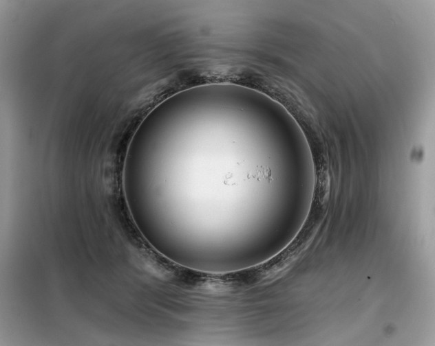 X0000099450416200805091510