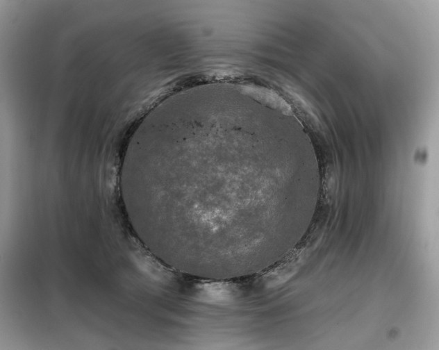 X0000099450417200805091510