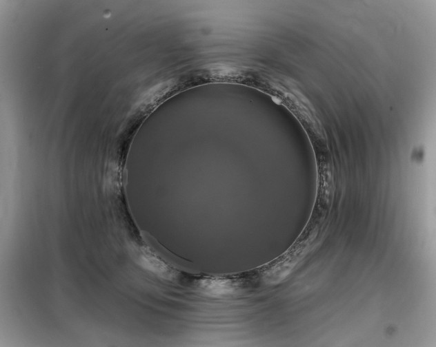 X0000099450419200805091510