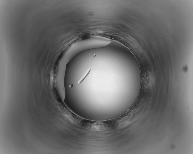 X0000099450420200805091510