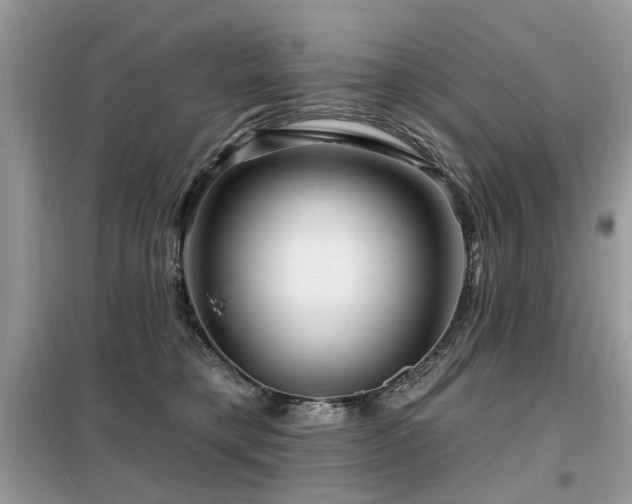 X0000099450421200805091510