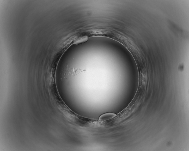 X0000099450422200805091510